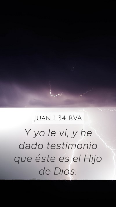 Juan 1:34 RVA Bible Verse Image