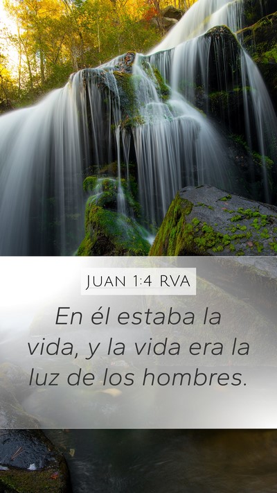 Juan 1:4 RVA Bible Verse Image