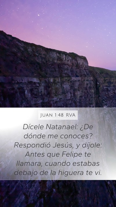 Juan 1:48 RVA Bible Verse Image