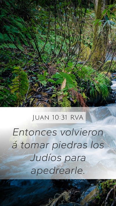 Juan 10:31 RVA Bible Verse Image