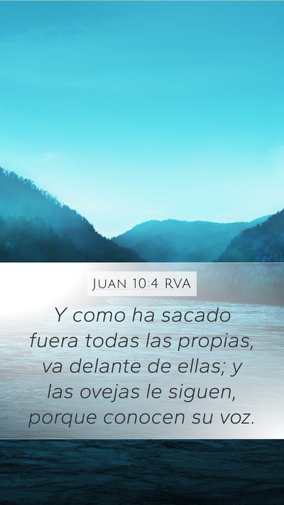 Juan 10:4 RVA Bible Verse Image