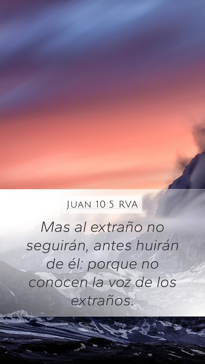 Juan 10:5 RVA Bible Verse Image