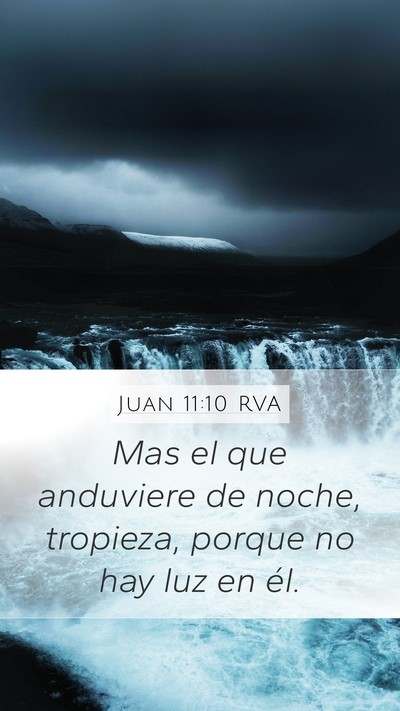 Juan 11:10 RVA Bible Verse Image