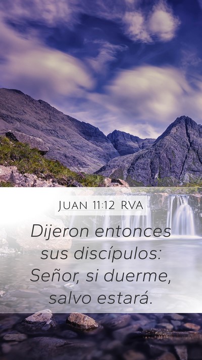 Juan 11:12 RVA Mobile Phone Wallpaper - Dijeron entonces sus discípulos: Señor, si - Mobile Bible Verse Wallpaper