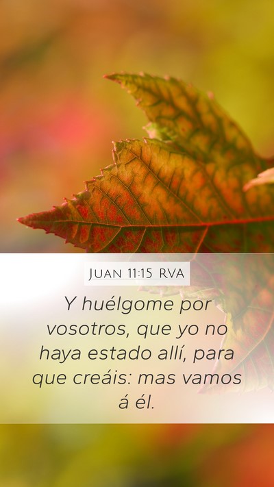 Juan 11:15 RVA Bible Verse Image