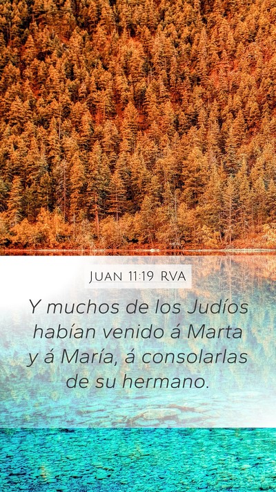 Juan 11:19 RVA Bible Verse Image