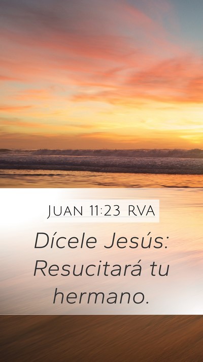 Juan 11:23 RVA Mobile Phone Wallpaper - Dícele Jesús: Resucitará tu - Mobile Bible Verse Wallpaper