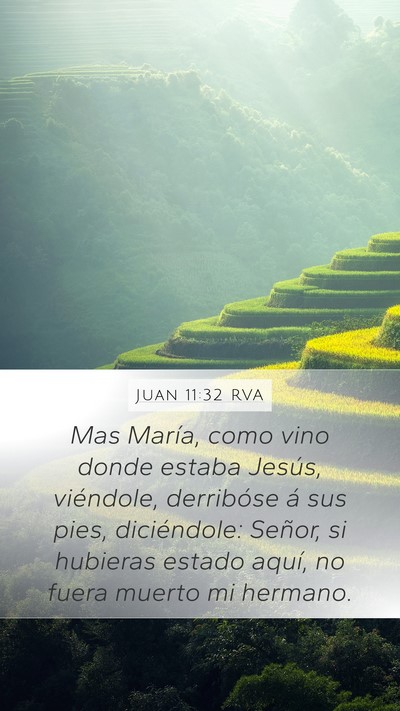 Juan 11:32 RVA Bible Verse Image