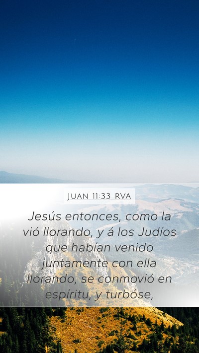 Juan 11:33 RVA Bible Verse Image