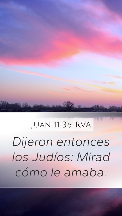 Juan 11:36 RVA Bible Verse Image