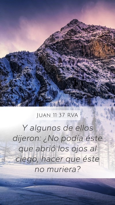 Juan 11:37 RVA Bible Verse Image