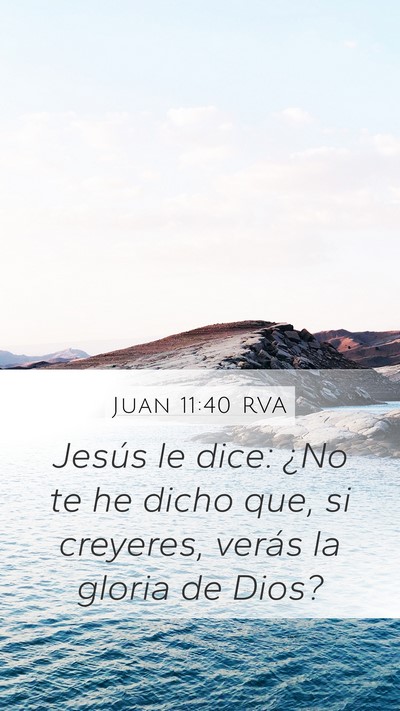 Juan 11:40 RVA Bible Verse Image