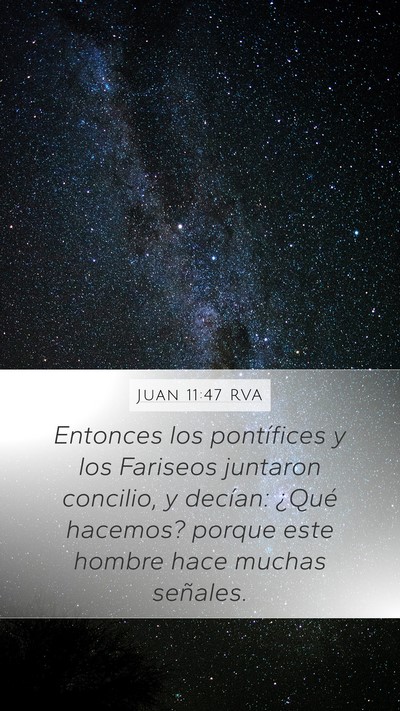 Juan 11:47 RVA Bible Verse Image