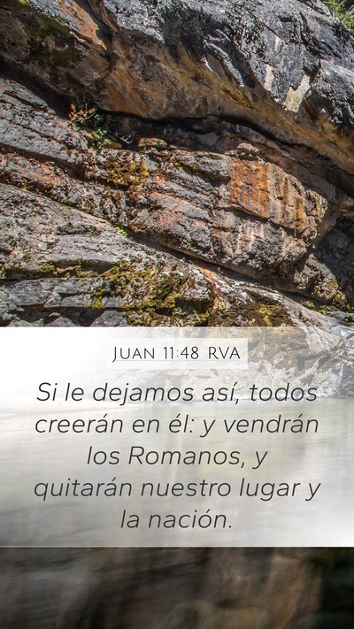 Juan 11:48 RVA Bible Verse Image