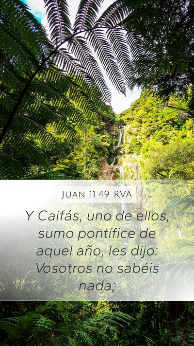 Juan 11:49 RVA Bible Verse Image