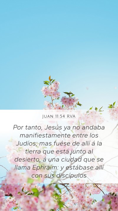 Juan 11:54 RVA Bible Verse Image