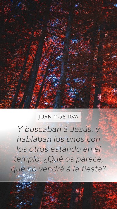 Juan 11:56 RVA Bible Verse Image