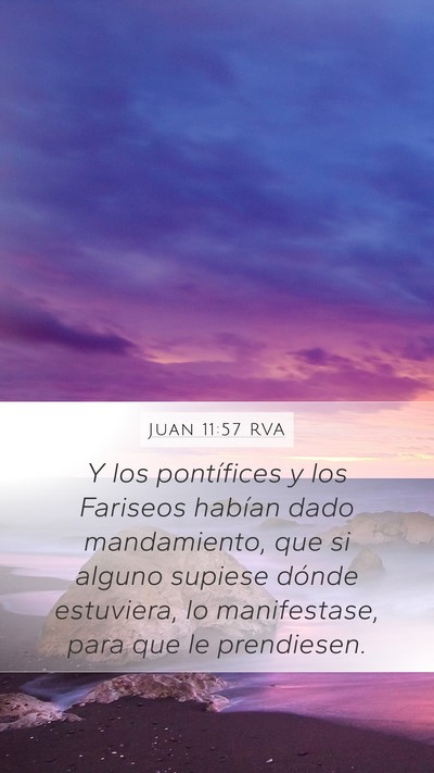 Juan 11:57 RVA Bible Verse Image