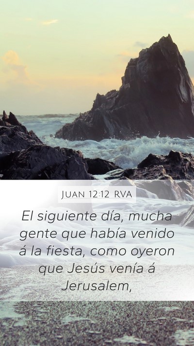 Juan 12:12 RVA Bible Verse Image