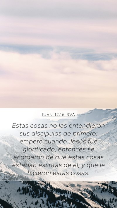 Juan 12:16 RVA Bible Verse Image