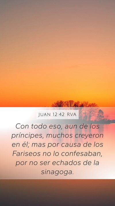Juan 12:42 RVA Bible Verse Image