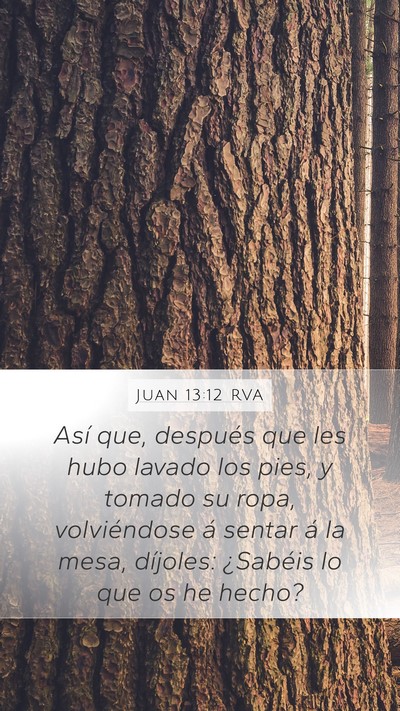 Juan 13:12 RVA Bible Verse Image