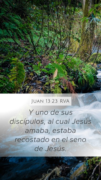Juan 13:23 RVA Bible Verse Image