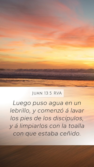 Juan 13:5 RVA Bible Verse Image