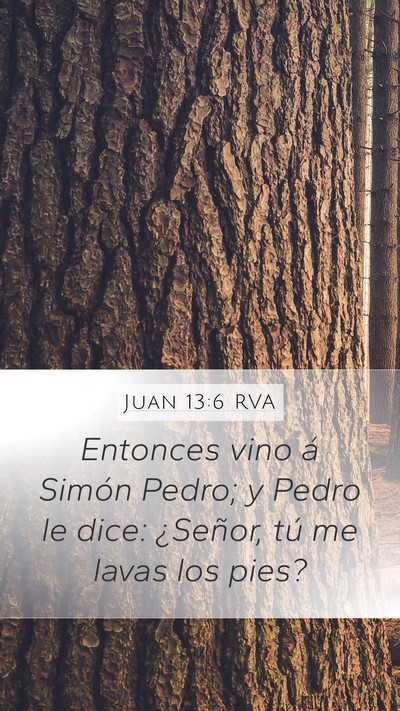 Juan 13:6 RVA Bible Verse Image