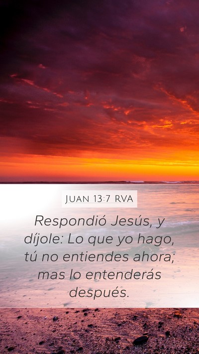 Juan 13:7 RVA Bible Verse Image