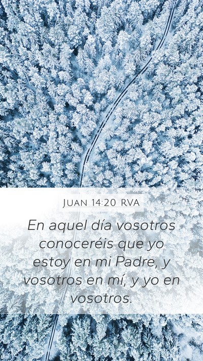 Juan 14:20 RVA Bible Verse Image