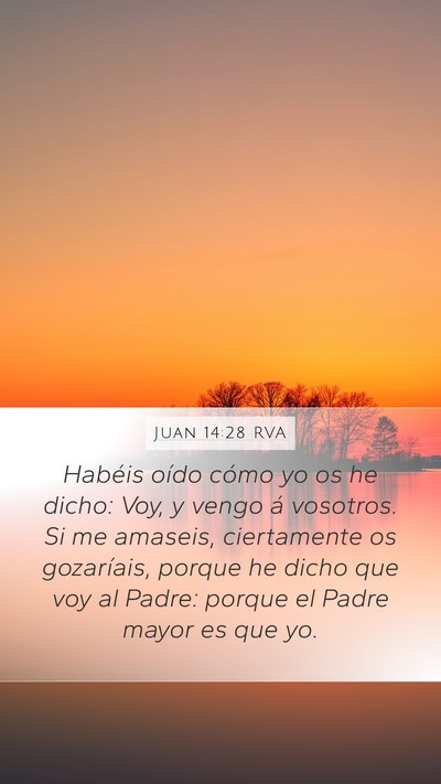 Juan 14:28 RVA Bible Verse Image