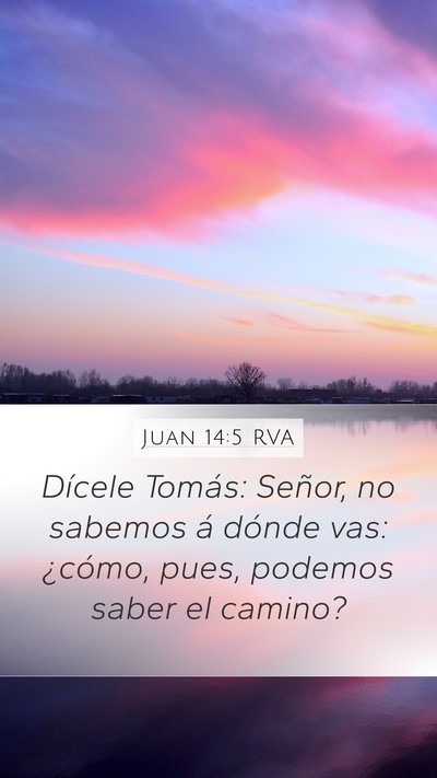 Juan 14:5 RVA Bible Verse Image