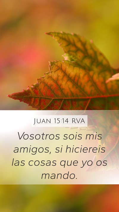 Juan 15:14 RVA Bible Verse Image