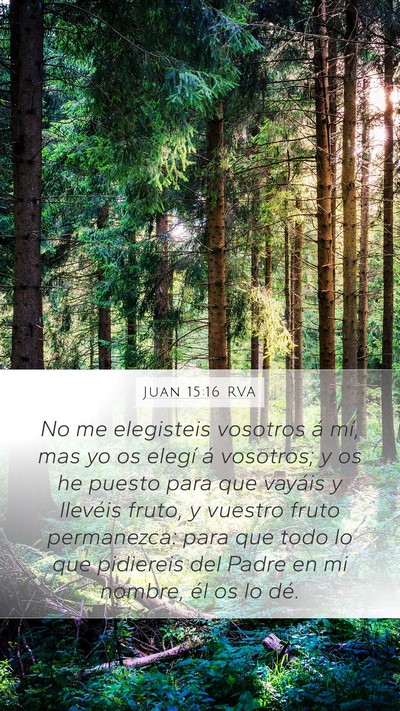 Juan 15:16 RVA Bible Verse Image