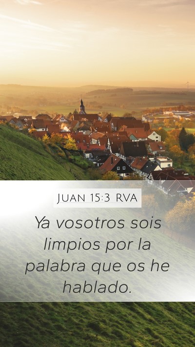 Juan 15:3 RVA Bible Verse Image