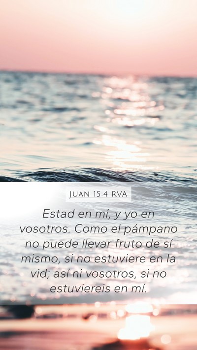 Juan 15:4 RVA Bible Verse Image