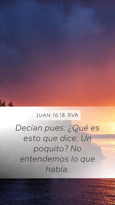 Juan 16:18 RVA Bible Verse Image