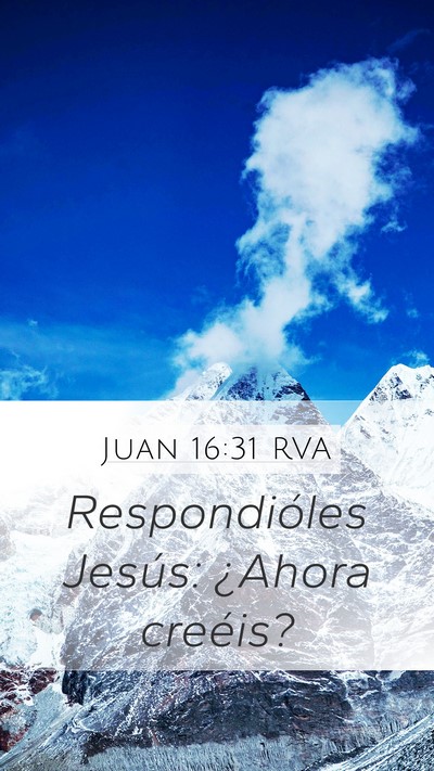 Juan 16:31 RVA Mobile Phone Wallpaper - Respondióles Jesús: ¿Ahora - Mobile Bible Verse Wallpaper