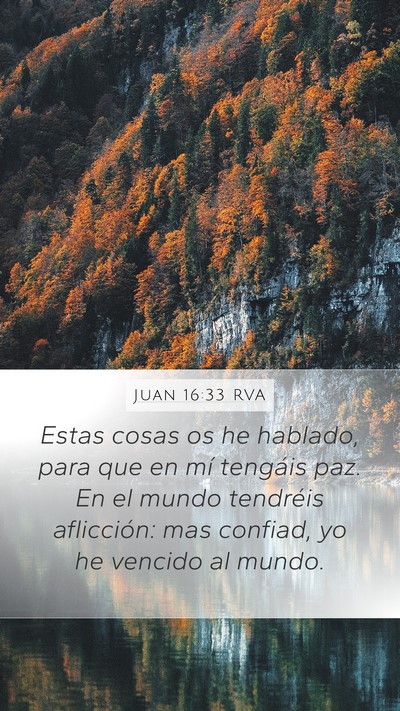 Juan 16:33 RVA Bible Verse Image