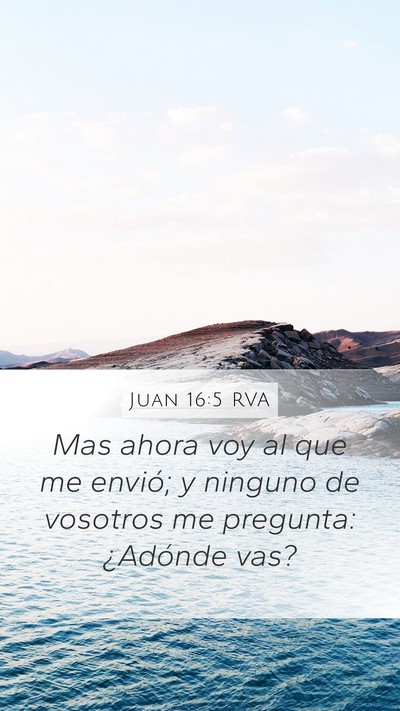 Juan 16:5 RVA Bible Verse Image