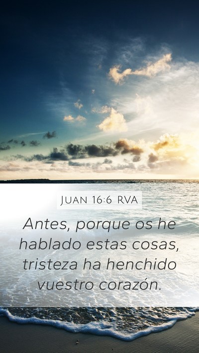 Juan 16:6 RVA Bible Verse Image