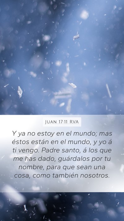 Juan 17:11 RVA Bible Verse Image