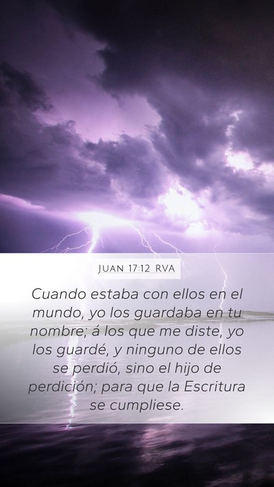 Juan 17:12 RVA Bible Verse Image