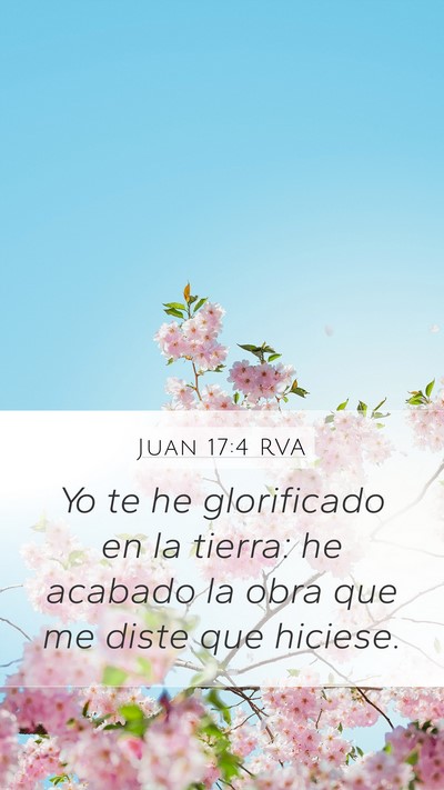 Juan 17:4 RVA Bible Verse Image