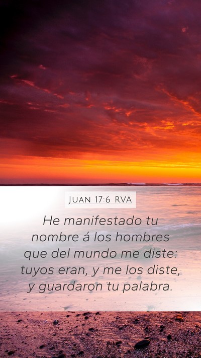 Juan 17:6 RVA Bible Verse Image