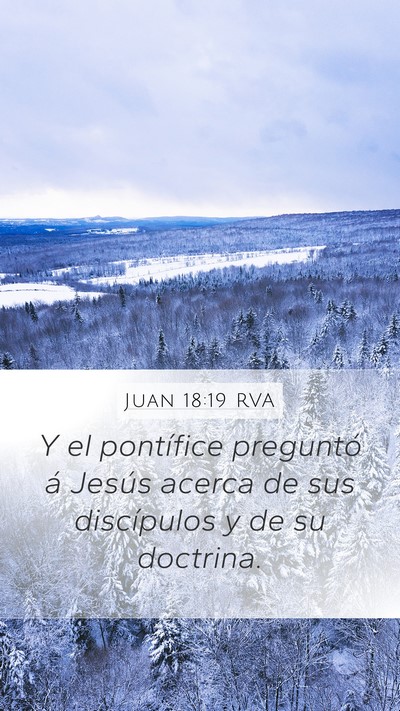 Juan 18:19 RVA Bible Verse Image