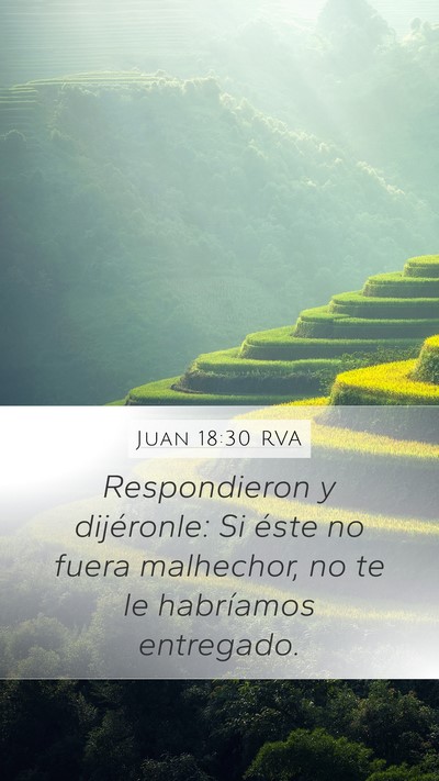 Juan 18:30 RVA Bible Verse Image