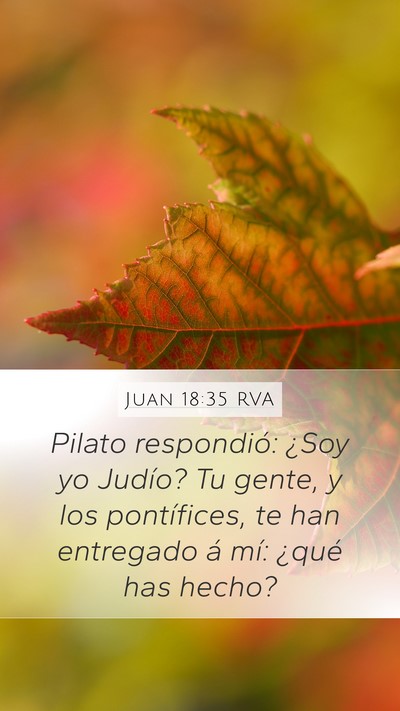 Juan 18:35 RVA Bible Verse Image