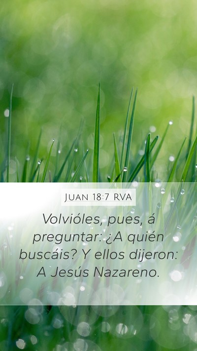 Juan 18:7 RVA Bible Verse Image